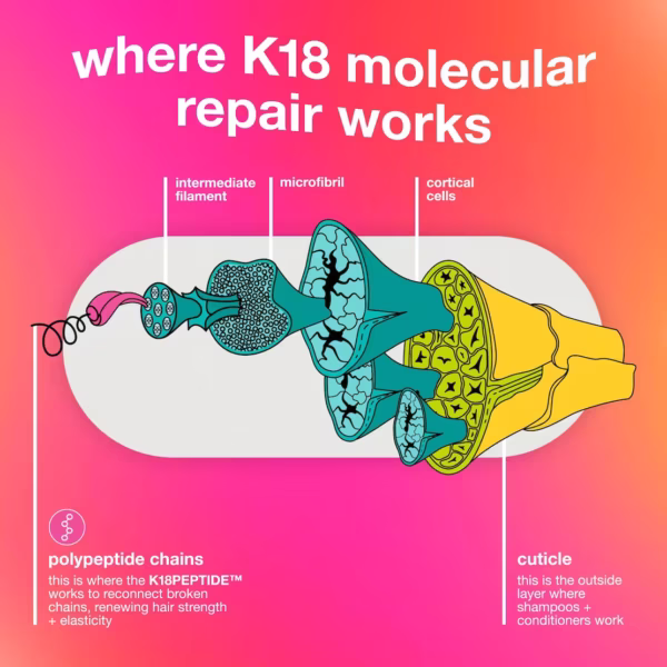 a daigram showing the hair structure and how k18 molecular repair works
